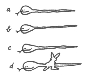 welche schlange hat das häsli gegessen